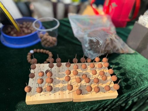 今日小雪，寶山健康廟會引領養(yǎng)生新潮流 中醫(yī)美式咖啡與中藥手串共舞